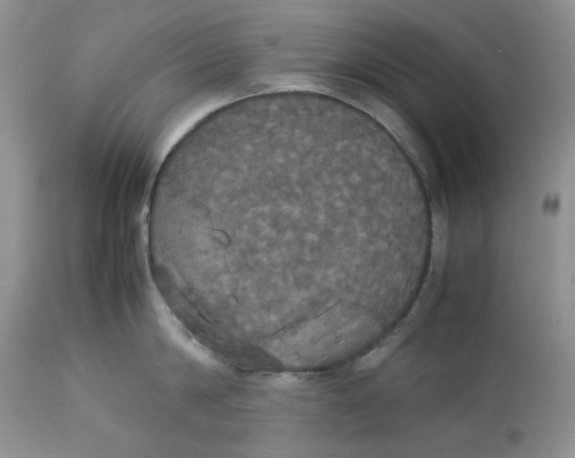 X0000112830814200909111356