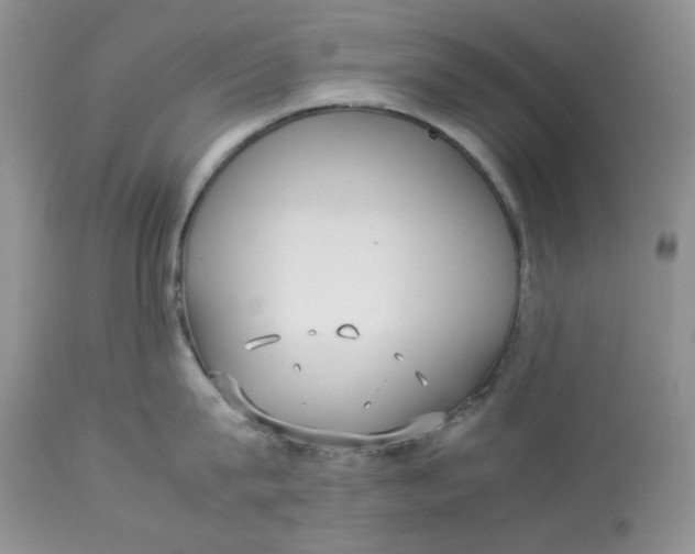 X0000112830815200909111356