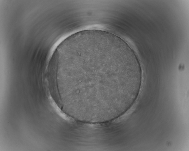 X0000112830816200909111356