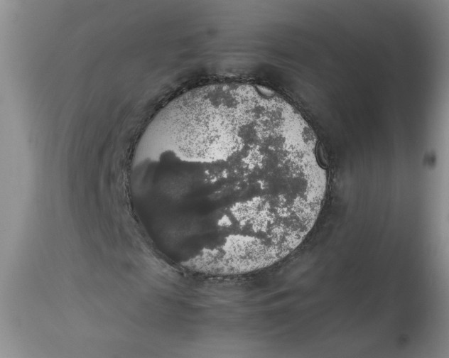 X0000112830817200909111355