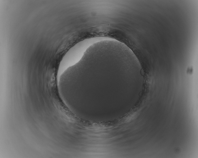 X0000112830818200909111355