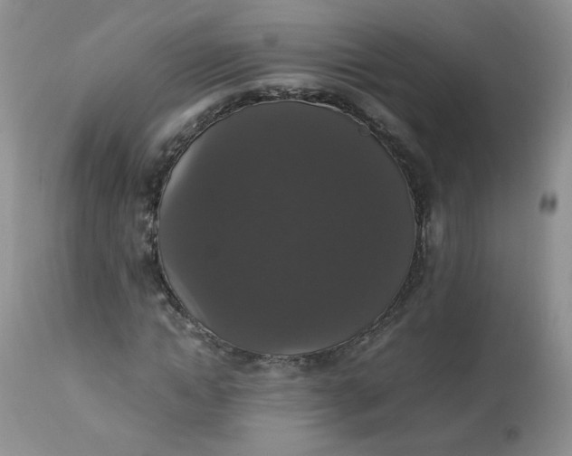 X0000112830822200909111355