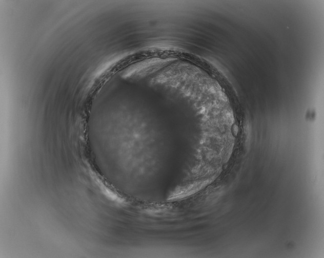 X0000112830823200909111355