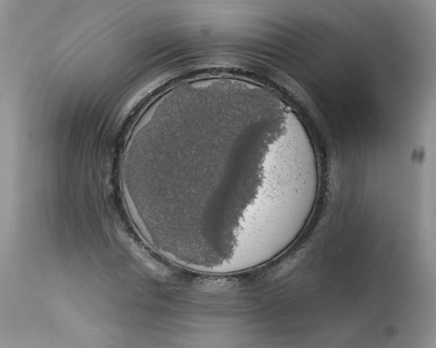 X0000112830826200909111355