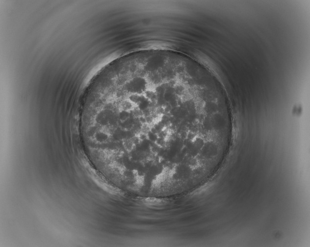 X0000112830827200909111355