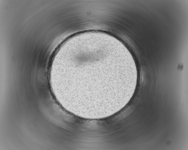 X0000112830828200909111355