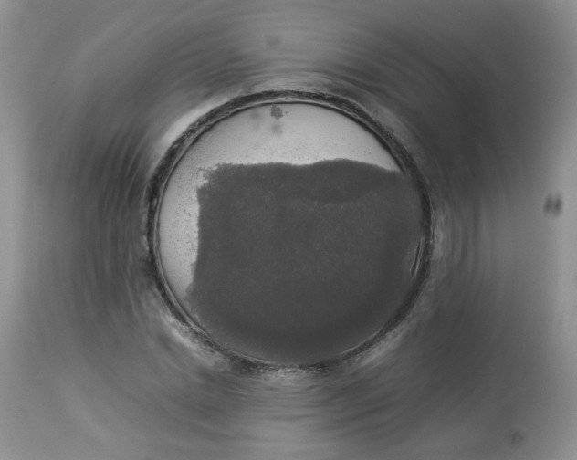 X0000112830830200909111355