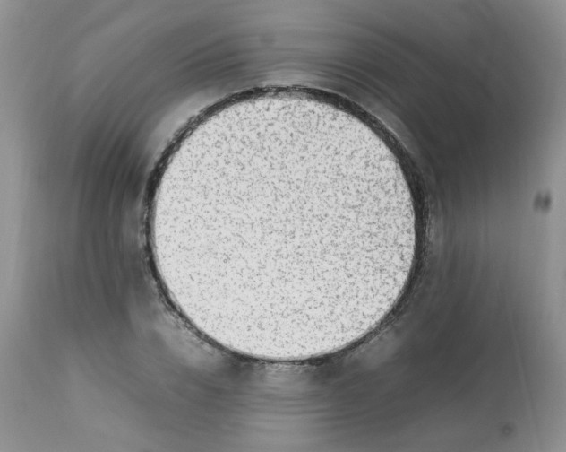 X0000112830832200909111355