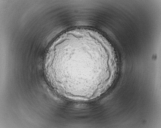 X0000112830833200909111355