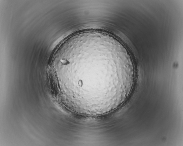 X0000112830834200909111355