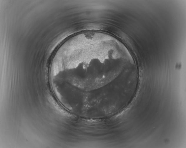 X0000112830835200909111355