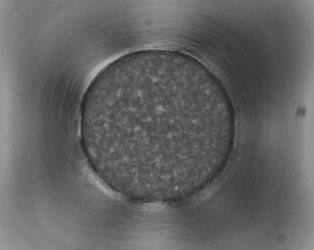 X0000112830838200909111355