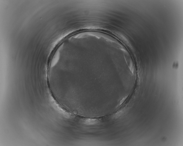 X0000112830839200909111355