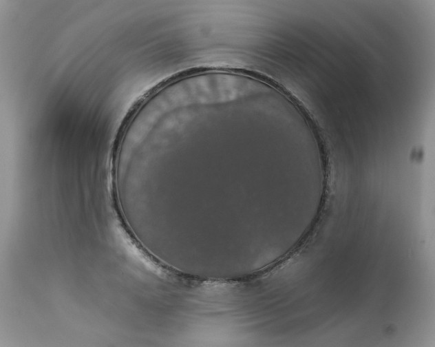 X0000112830840200909111355