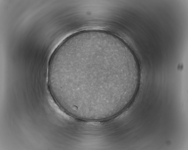 X0000112830844200909111355