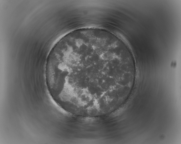 X0000112830847200909111355