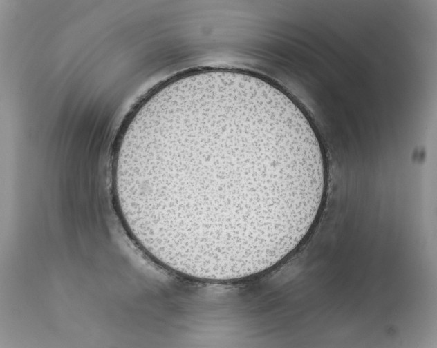 X0000112830848200909111356