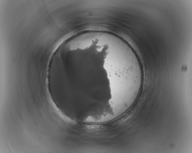 X0000112830853200909111356