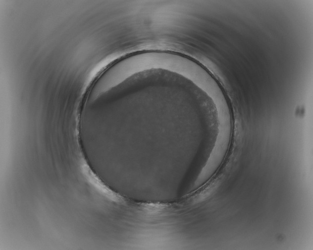 X0000112830854200909111356