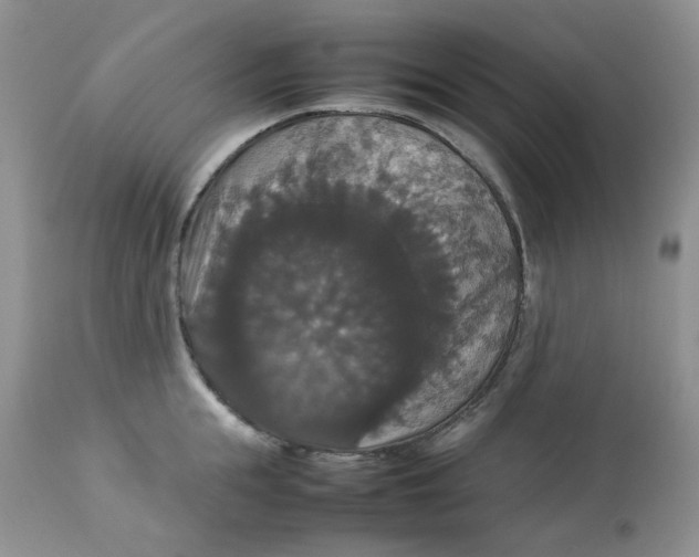 X0000112830855200909111356