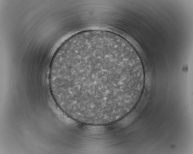 X0000112830856200909111356