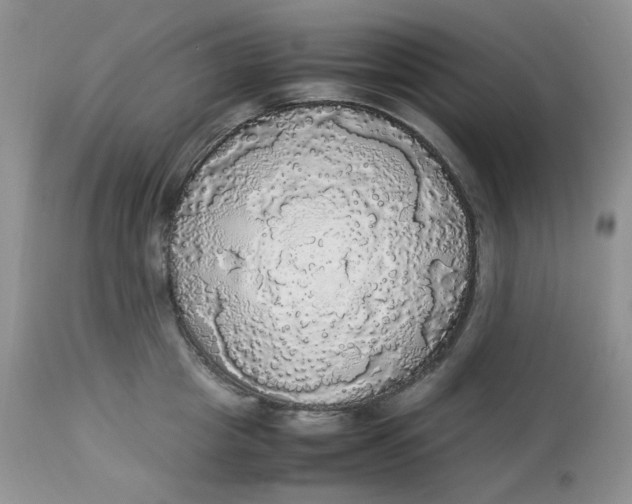 X0000112830857200909111356