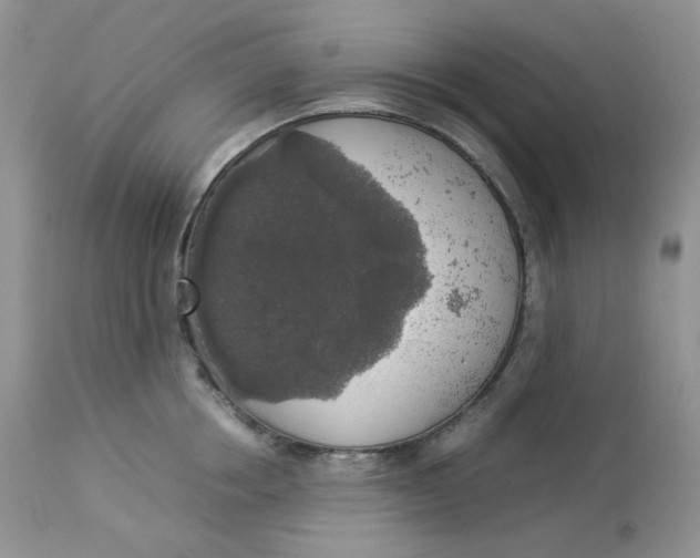 X0000112830858200909111356