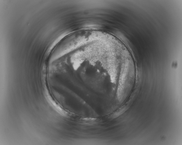 X0000112830859200909111356