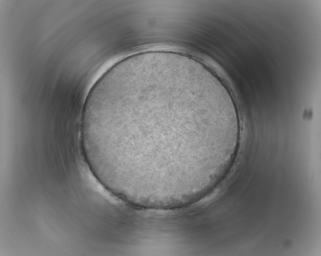 X0000112830860200909111356