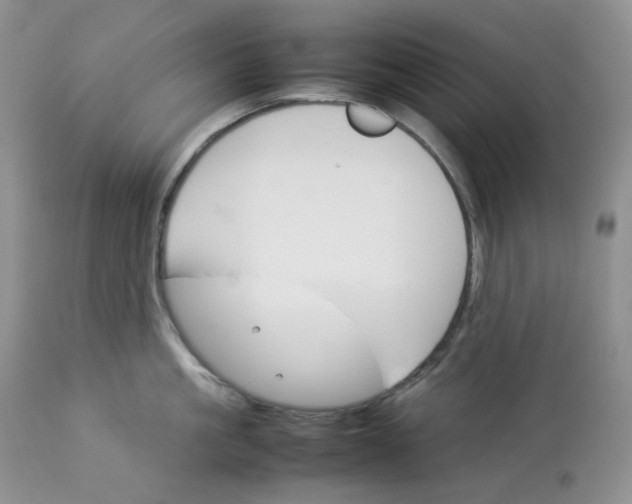 X0000112830861200909111356