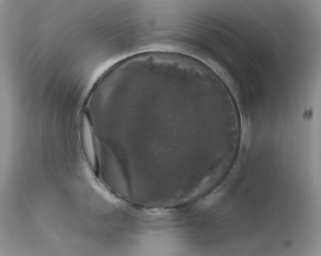 X0000112830862200909111356