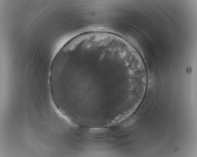 X0000112830863200909111356