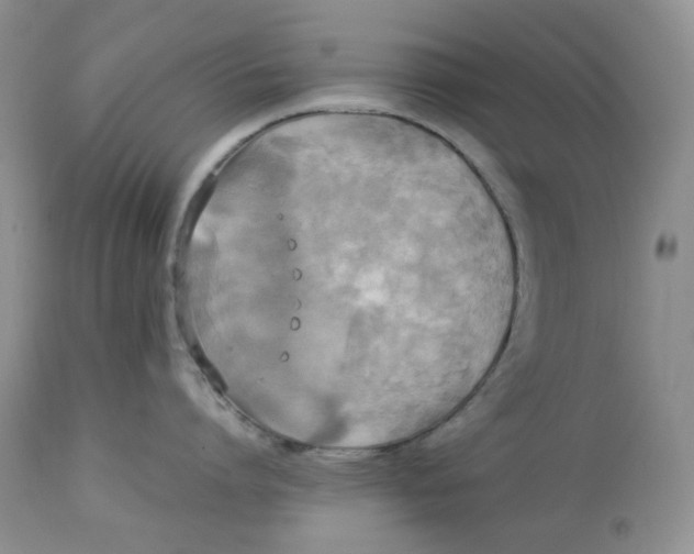 X0000112830864200909111356