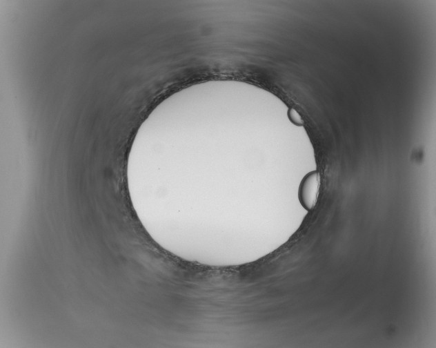 X0000112830865200909111355