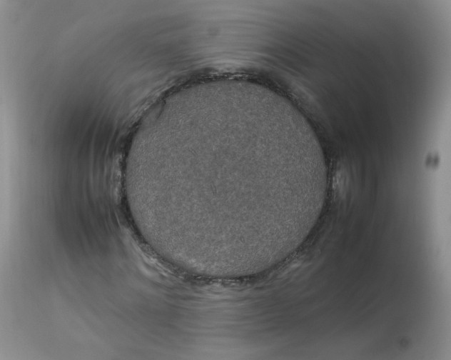 X0000112830868200909111355