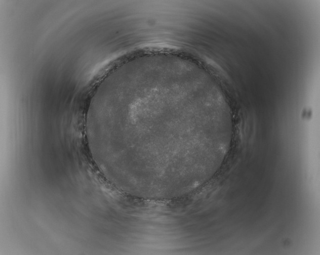 X0000112830870200909111355