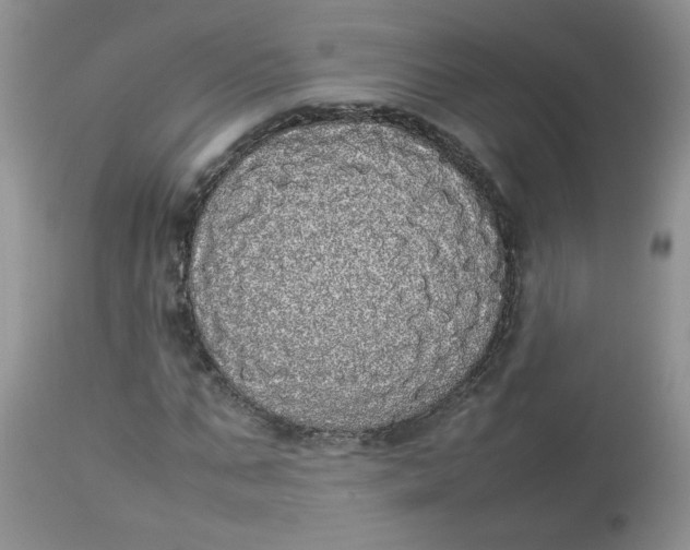 X0000112830871200909111355