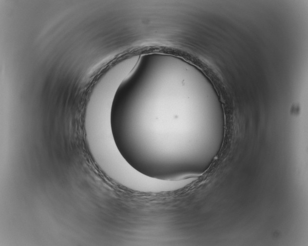 X0000112830872200909111355