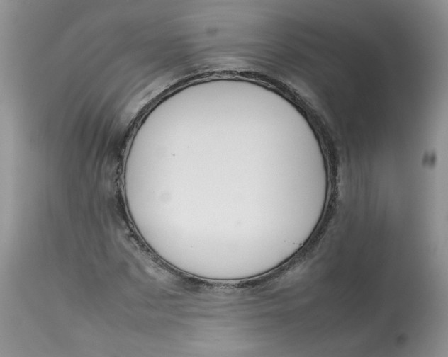 X0000112830873200909111355