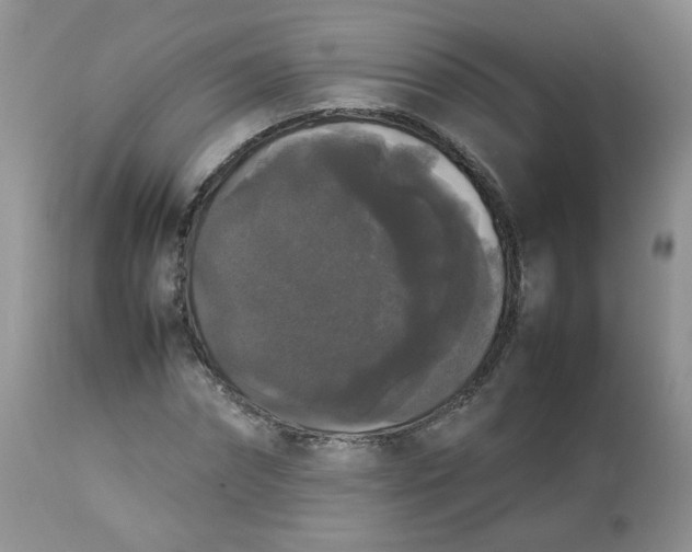 X0000112830874200909111355