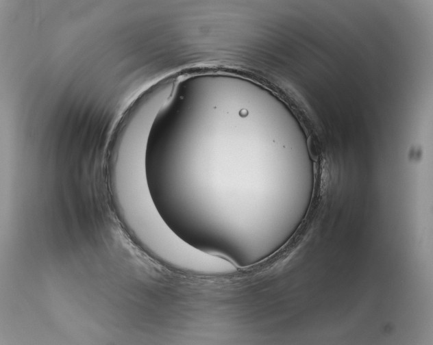 X0000112830876200909111355