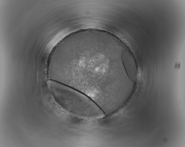 X0000112830877200909111355