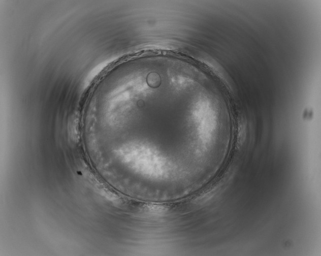 X0000112830878200909111355