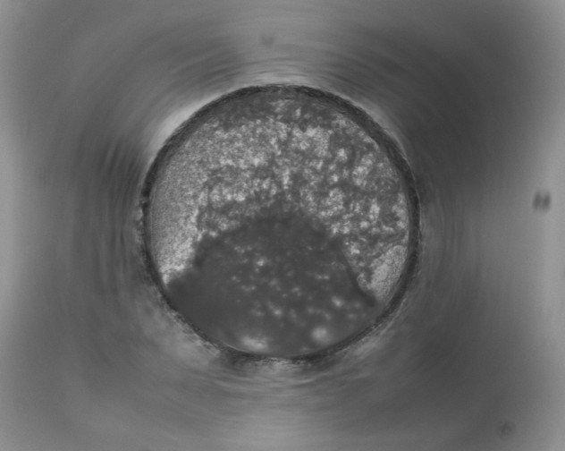 X0000112830879200909111355