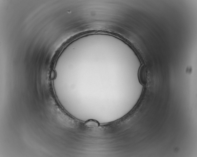 X0000112830880200909111355