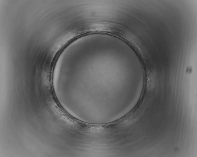 X0000112830882200909111355