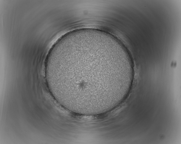 X0000112830883200909111355