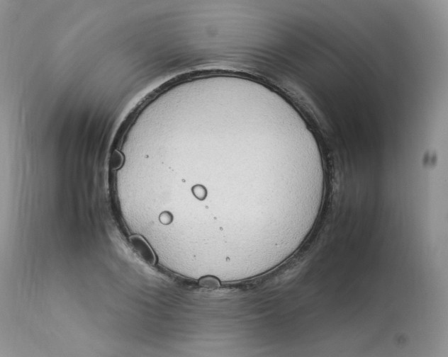 X0000112830884200909111355