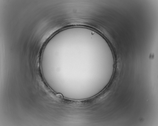 X0000112830885200909111355