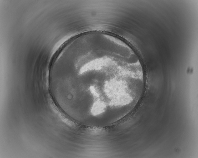 X0000112830886200909111355